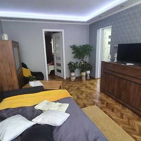 Apartament Park Saski 산도미에르즈 외부 사진