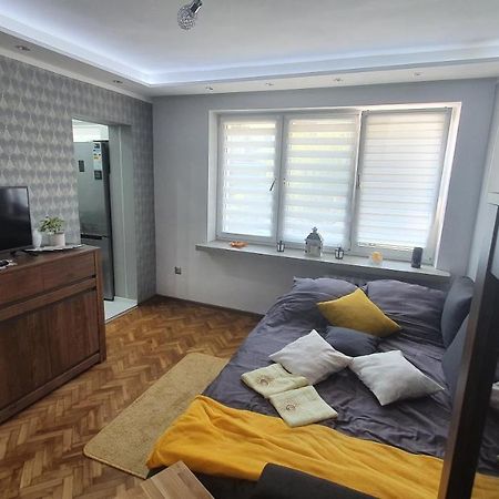 Apartament Park Saski 산도미에르즈 외부 사진