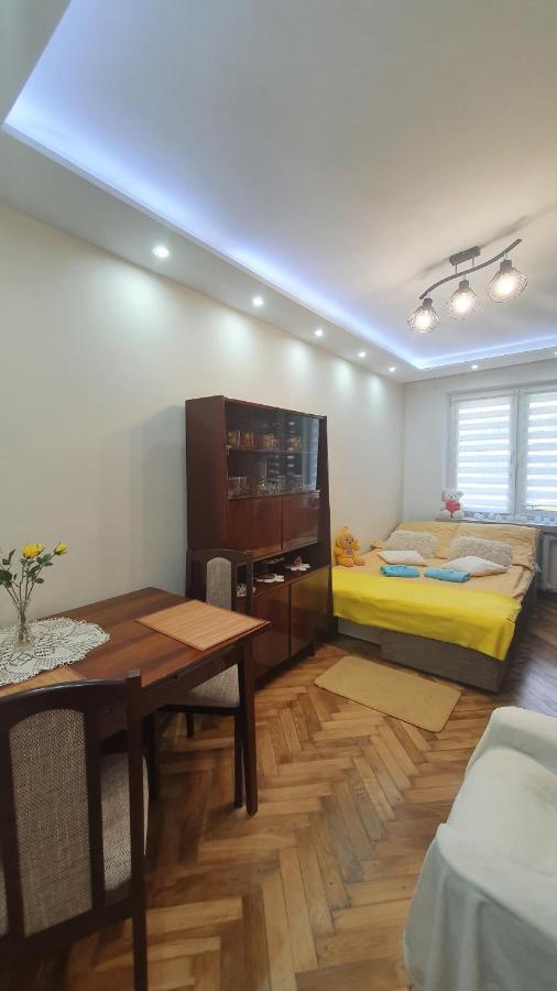Apartament Park Saski 산도미에르즈 외부 사진