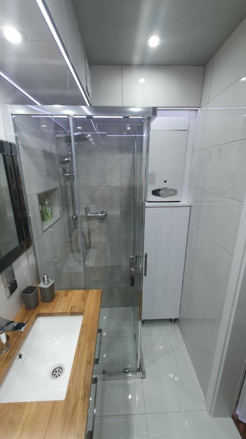 Apartament Park Saski 산도미에르즈 외부 사진