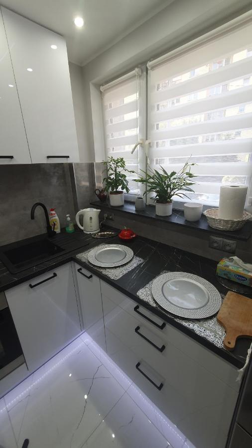 Apartament Park Saski 산도미에르즈 외부 사진
