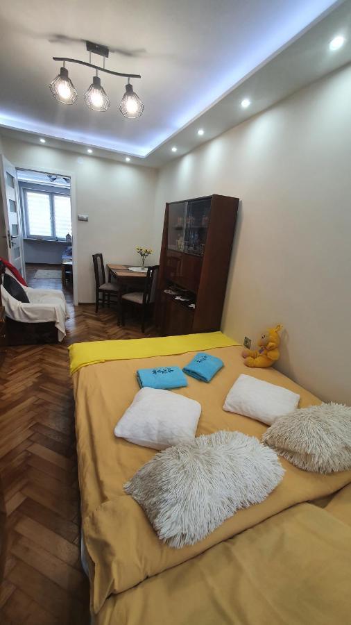 Apartament Park Saski 산도미에르즈 외부 사진