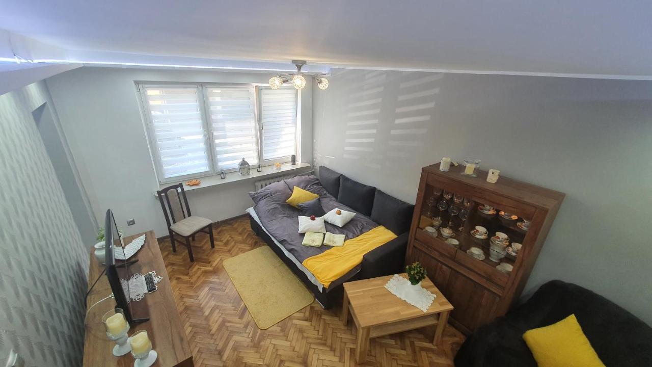 Apartament Park Saski 산도미에르즈 외부 사진