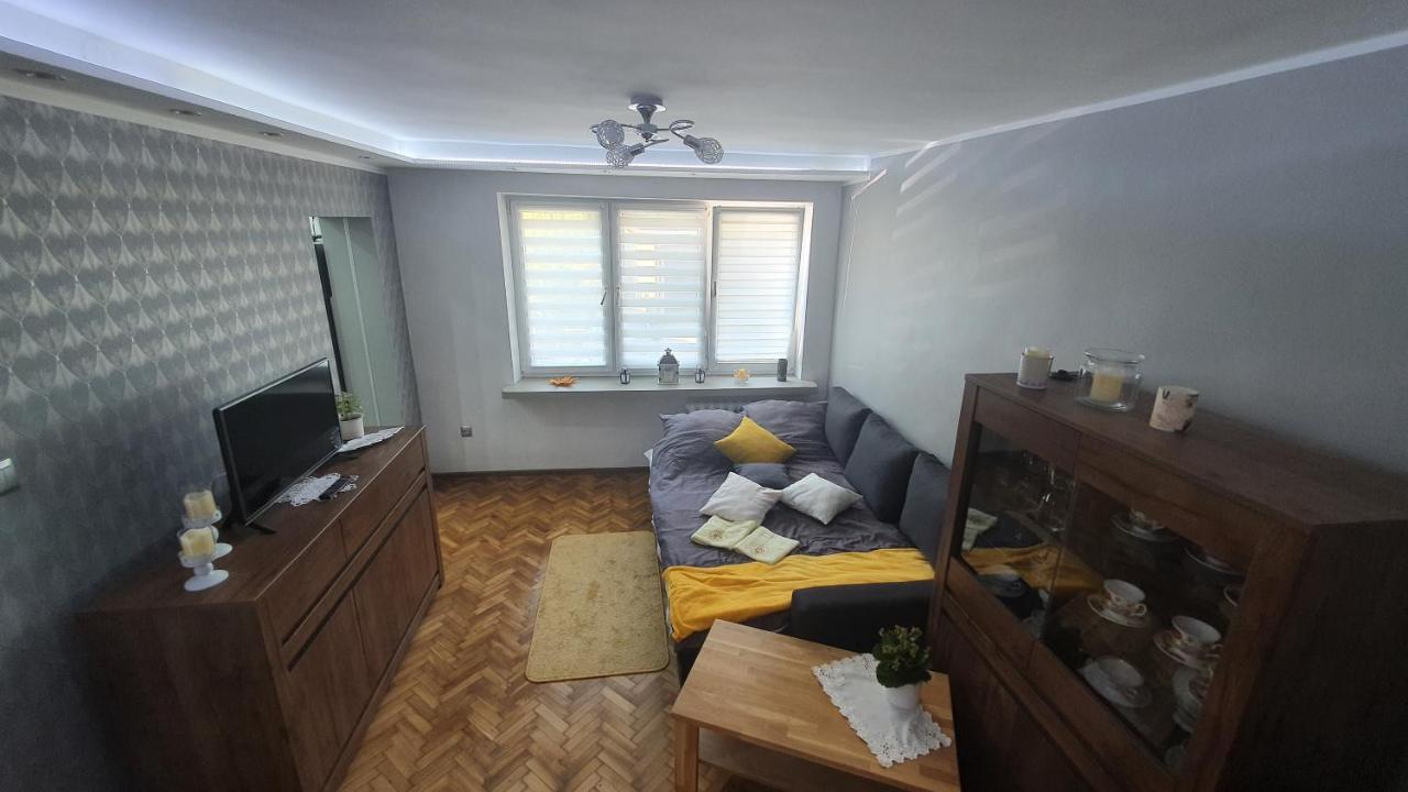 Apartament Park Saski 산도미에르즈 외부 사진